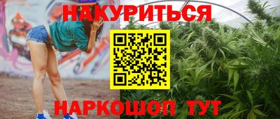 прущие крисы Новоалтайск