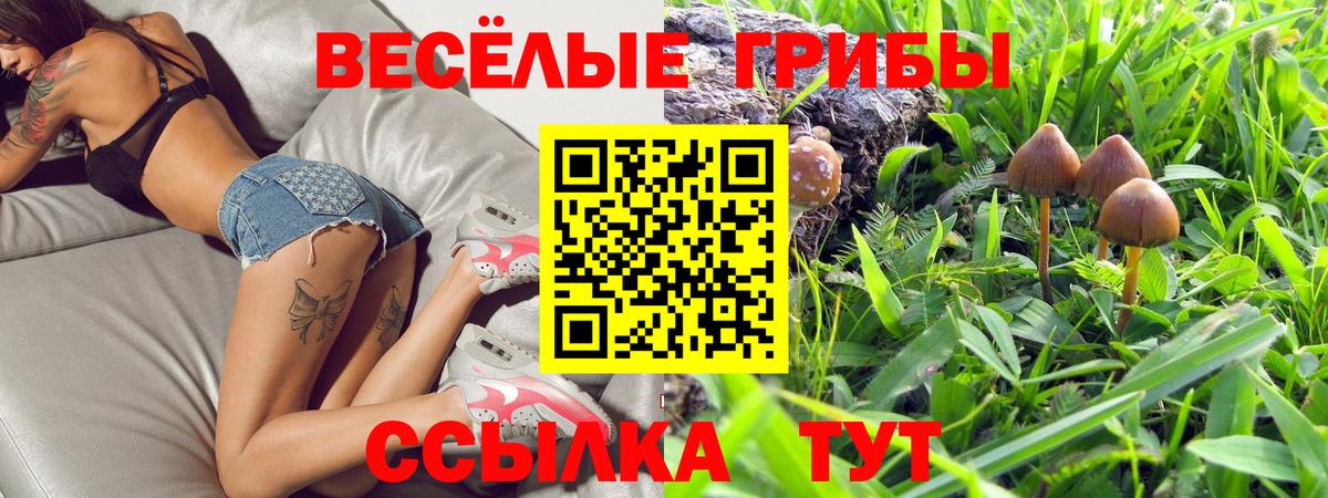 Галлюциногенные грибы мухоморы Артём